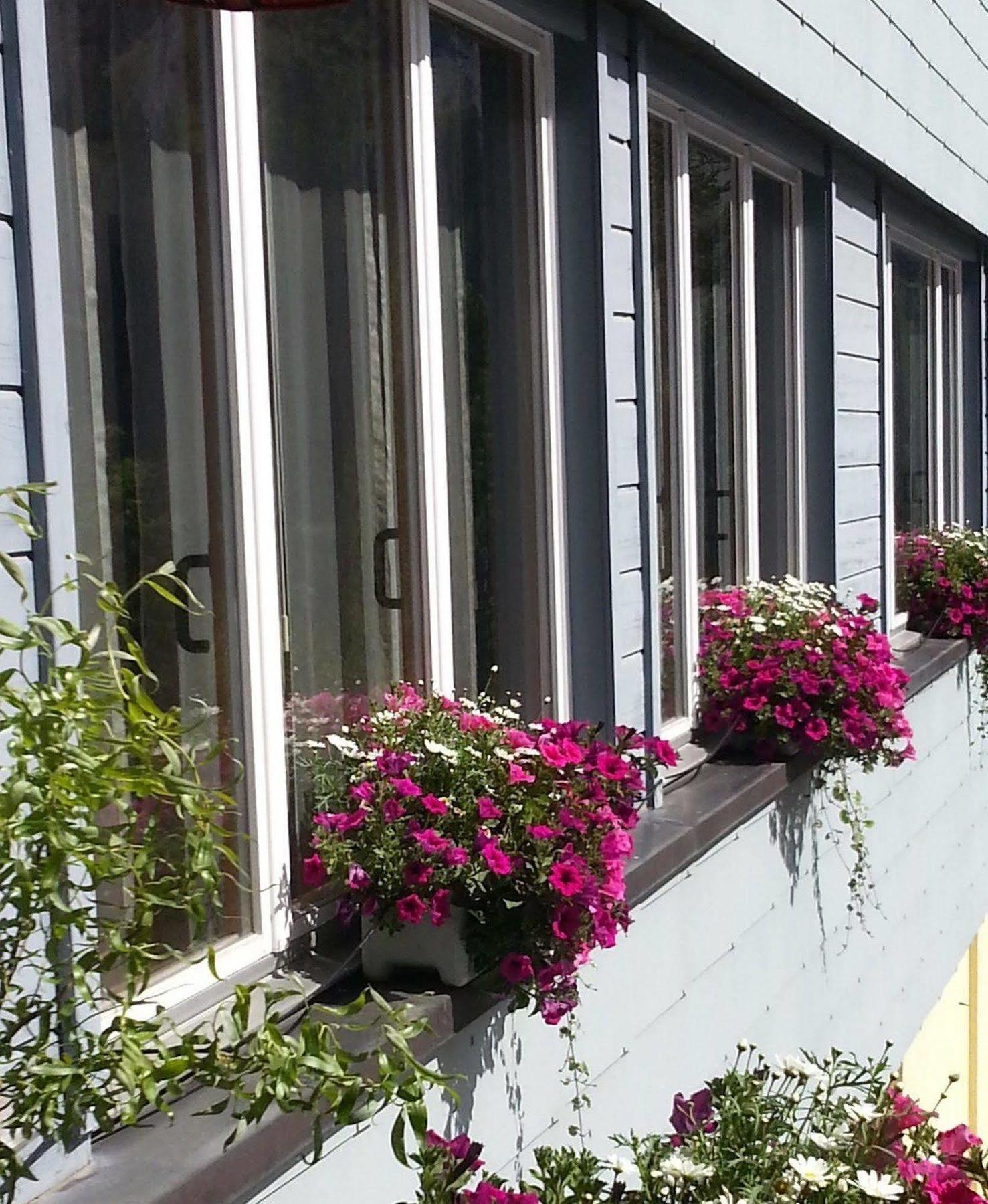 The Excelsior Ostfluegel Hotel Arosa Exterior photo